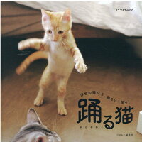踊る猫   /マイウェイ出版/にゃんこ編集部